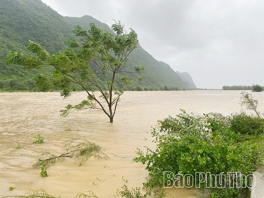 Bão số 10 gây mưa lớn và thiệt hại tại khu vực Hoà Bình