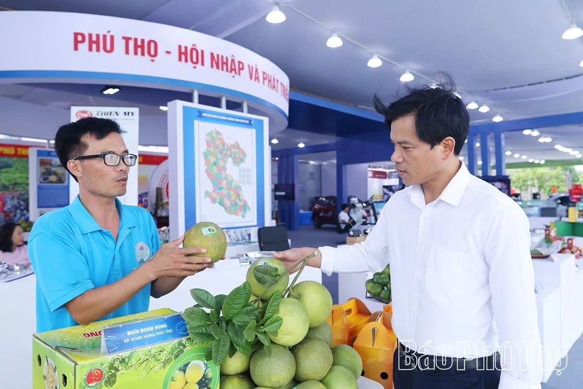 Joyful Celebration of Phu Tho Province’s Major Political Event
