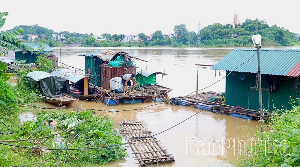 Các xã ven sông Lô chủ động ứng phó với hoàn lưu bão số 10