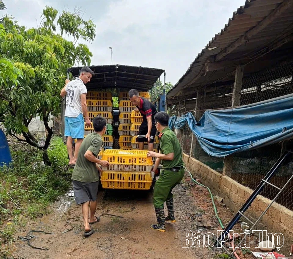 Các xã ven sông Lô chủ động ứng phó với hoàn lưu bão số 10