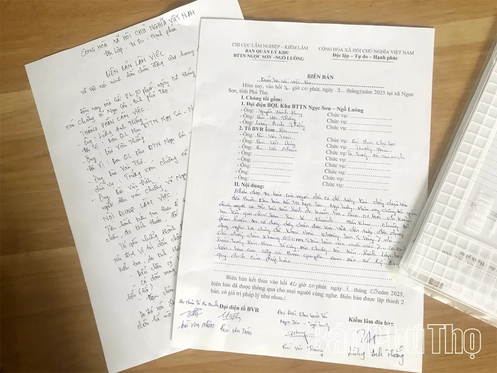 Tin đồn hổ xuất hiện ở Ngọc Sơn: Cơ quan chức năng, chính quyền khẳng định không có cơ sở