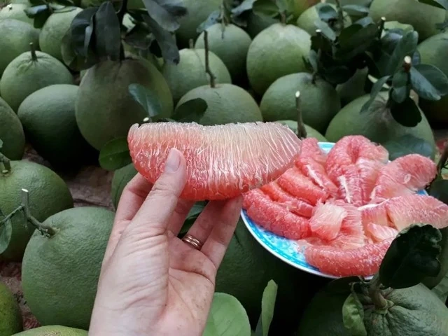 Điểm danh 6 loại bưởi đặc sản làm say lòng người Việt
