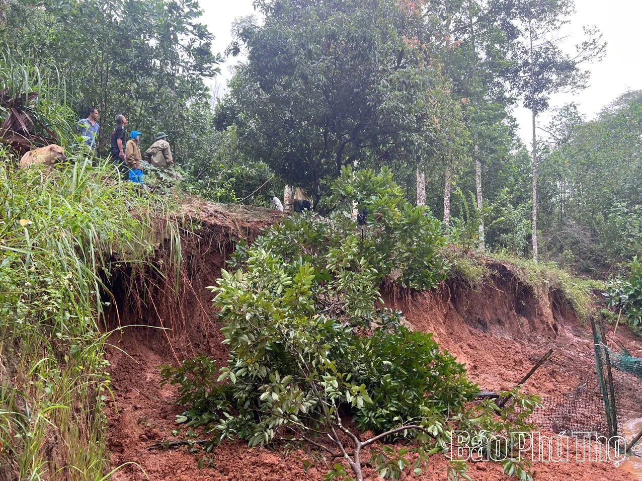 Nhân Nghĩa chủ động ứng phó với hoàn lưu bão