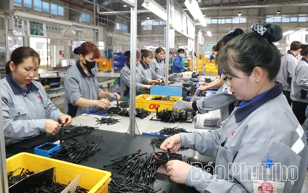 Công ty TNHH Cap Global: Vững bước từ cải tiến quản lý đến chăm lo con người