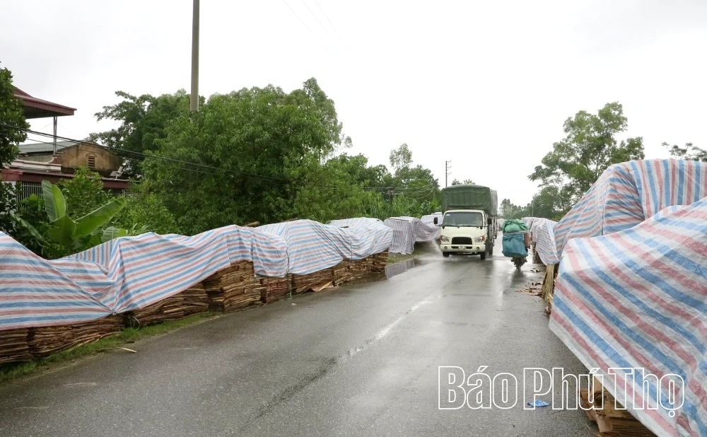 Doanh nghiệp chủ động ứng phó mưa bão