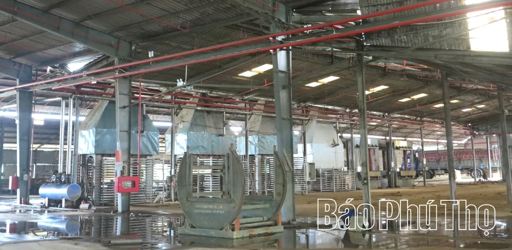 Doanh nghiệp chủ động ứng phó mưa bão