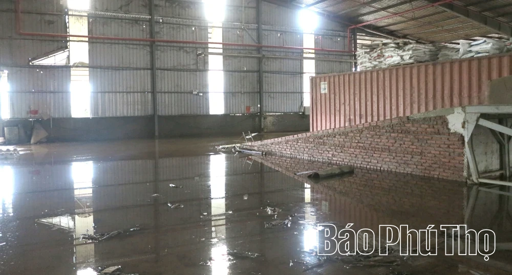 Doanh nghiệp chủ động ứng phó mưa bão