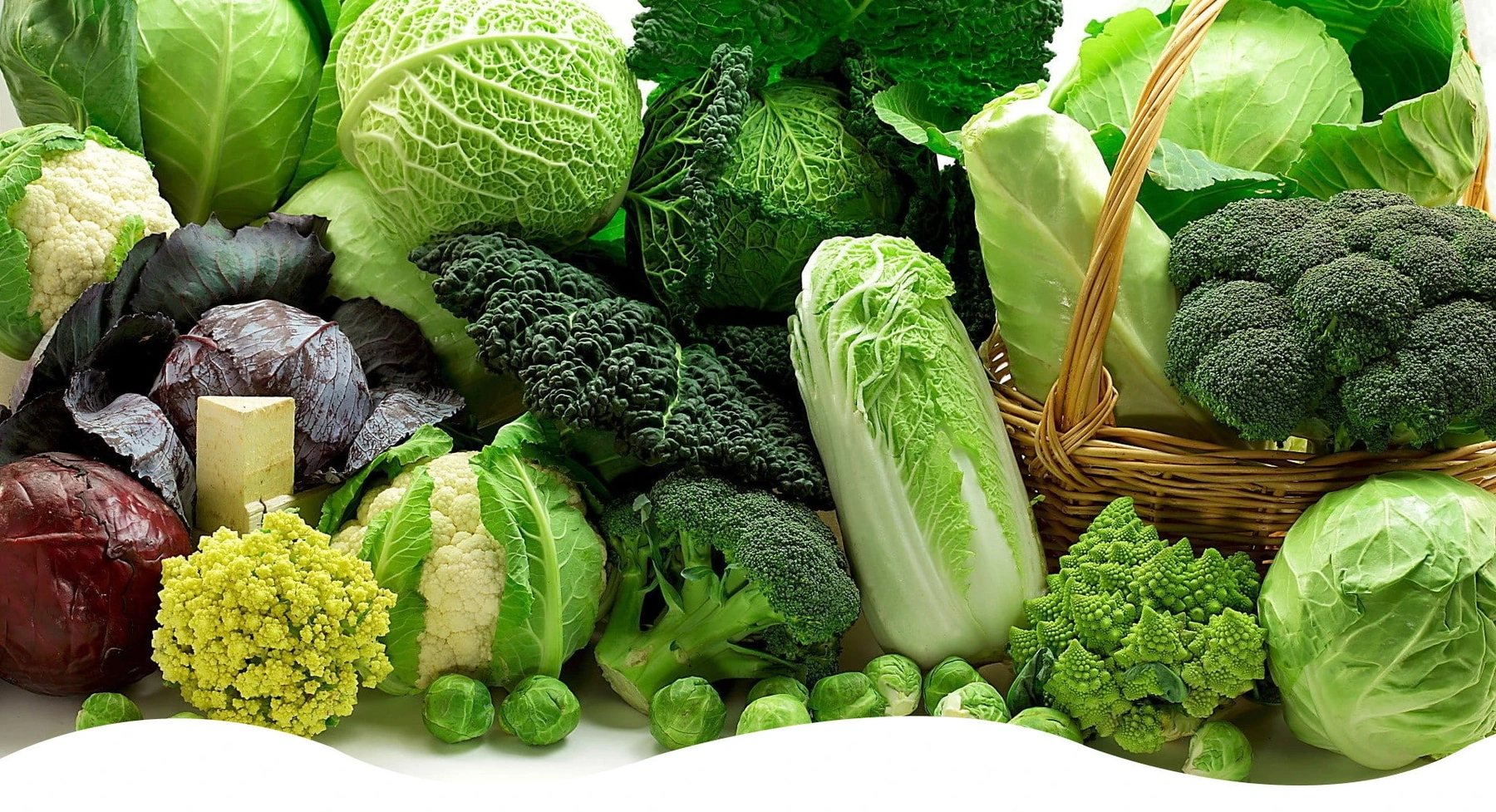 Giá cả thị trường ngày 9/10/2025