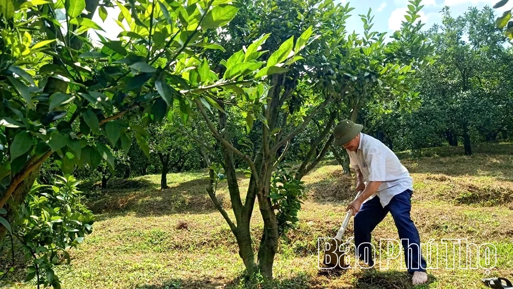 Phòng giao dịch NHCSXH Đà Bắc: Đưa vốn đến tay người nghèo