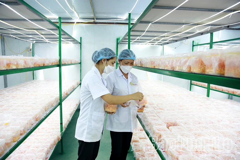 Động lực mở rộng thị trường, nâng cao năng lực cạnh tranh