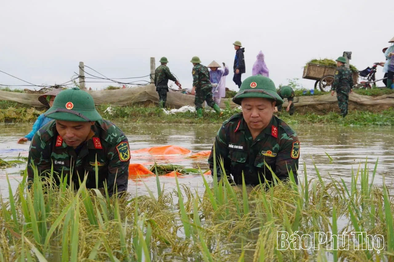 Từ lời Bác dạy đến hành động của lực lượng vũ trang tỉnh