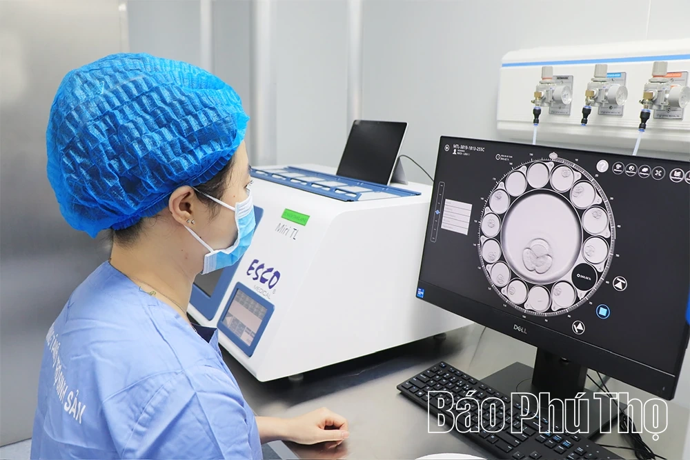 Phát triển kỹ thuật chuyên sâu trong lĩnh vực hỗ trợ sinh sản