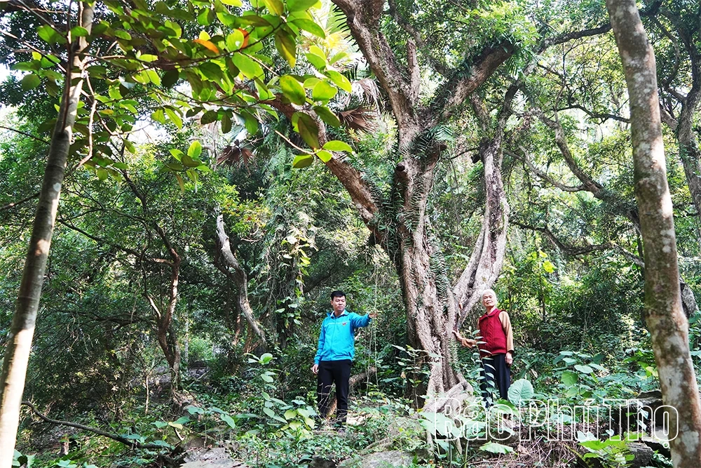 Làm theo Bác bằng cả tấm lòng