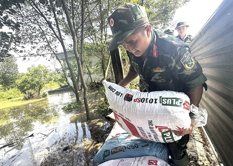 Thời tiết ngày 10/10: Lũ trên sông Cầu đạt đỉnh, nhiều khu vực trung du và đồng bằng Bắc Bộ vẫn ngập sâu