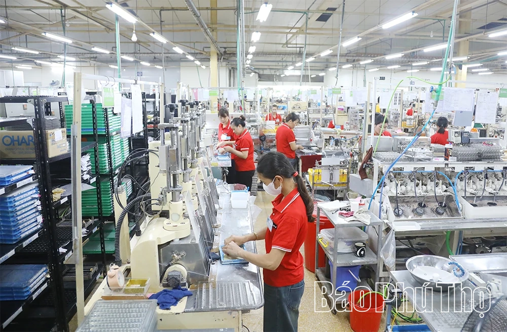 Nơi chúng tôi không chỉ kinh doanh mà còn đồng hành phát triển