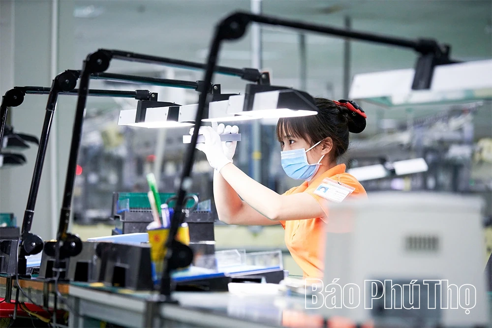 Nơi chúng tôi không chỉ kinh doanh mà còn đồng hành phát triển