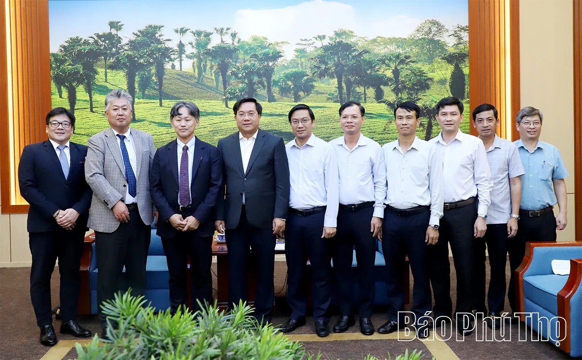 Chủ tịch UBND tỉnh Trần Duy Đông làm việc với Công ty Cổ phần Colowide MD, Nhật Bản và Công ty TNHH N&V Bridge