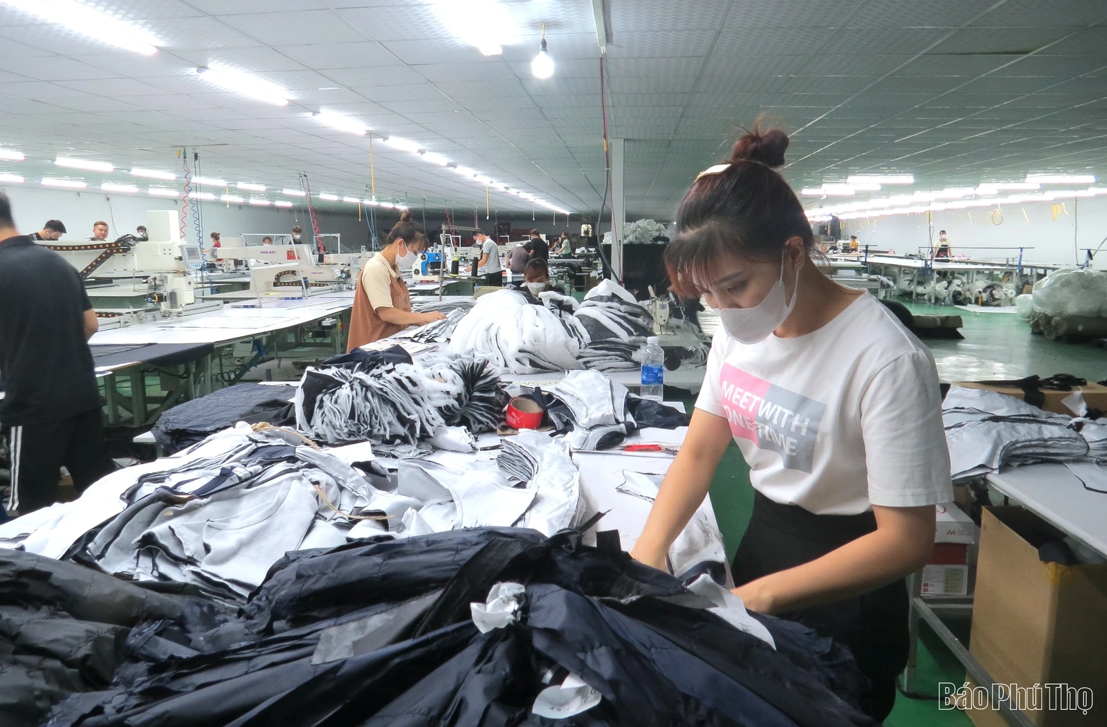 Thúc đẩy giải quyết việc làm cho người lao động