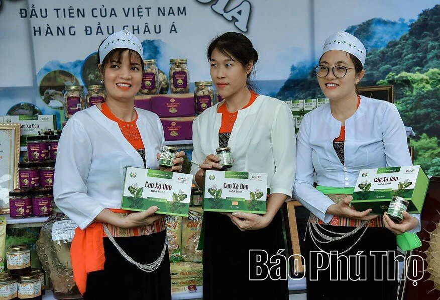 Nâng tầm sản phẩm OCOP - Khi tinh hoa bản địa được đánh thức
