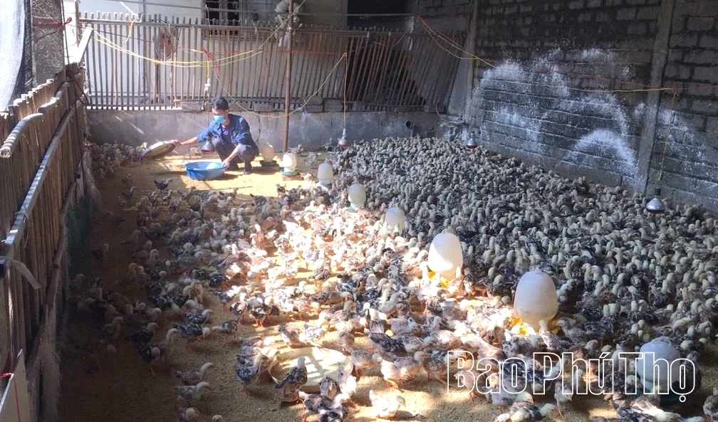 Lạc Thủy tập trung phát triển kinh tế, tạo nguồn thu bền vững