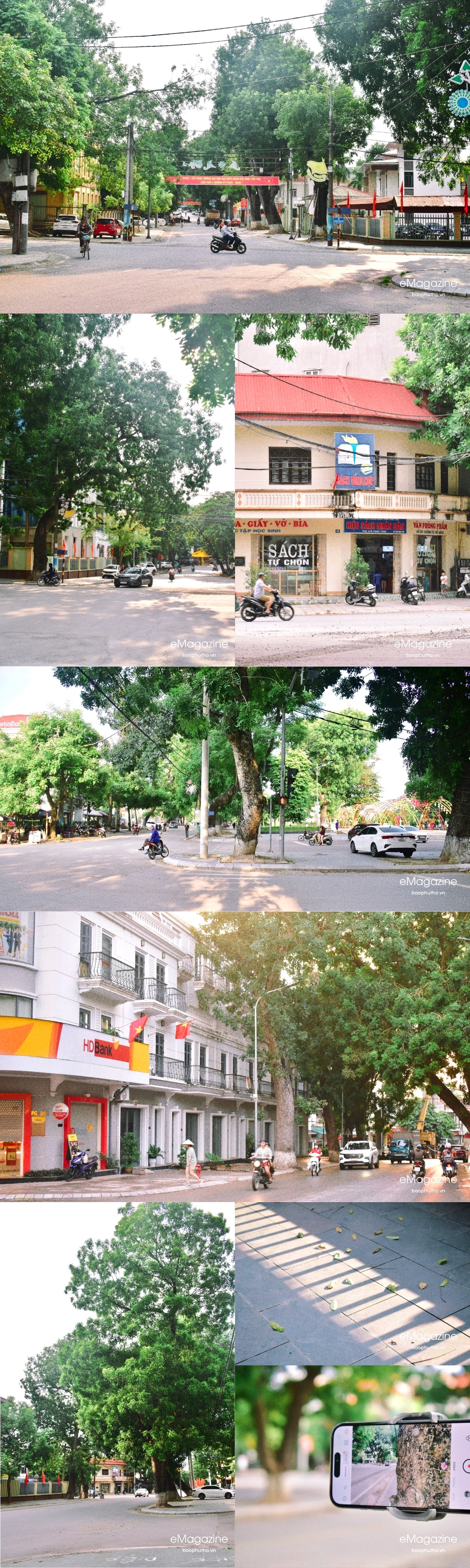 Mùa hoài niệm ở đô thị trăm tuổi