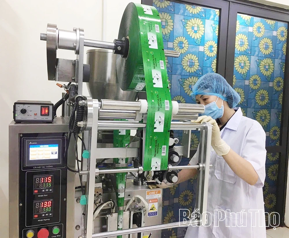 Nữ Giám đốc sở hữu 7 sản phẩm OCOP 4 sao
