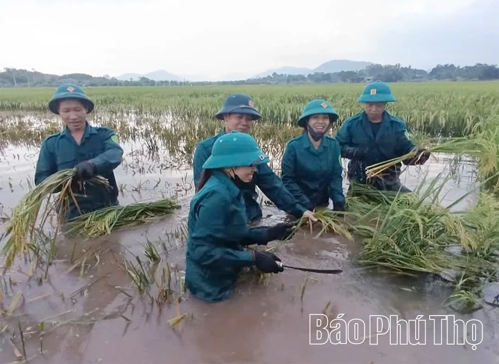 Tăng tính cơ động cho lực lượng quân sự cơ sở
