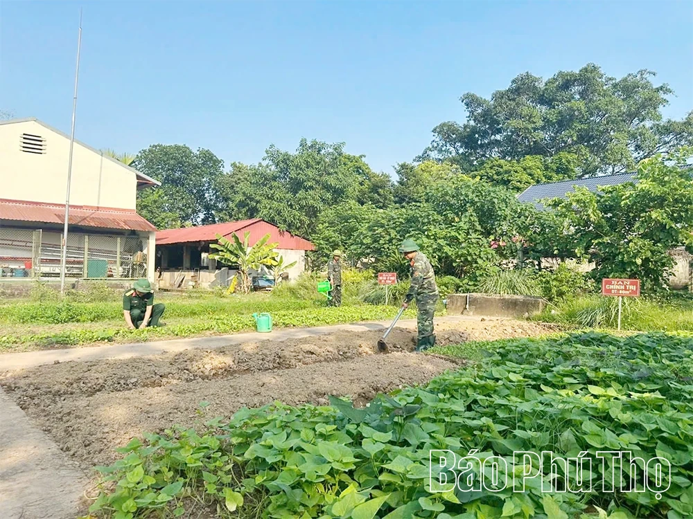 Tích cực tăng gia sản xuất, góp phần nâng cao đời sống bộ đội