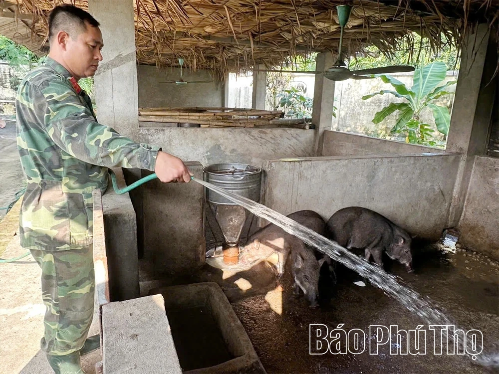 Tích cực tăng gia sản xuất, góp phần nâng cao đời sống bộ đội