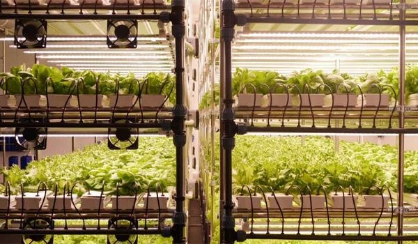 Cảm biến đo nhiệt độ đất, chất lỏng nhập khẩu chính hãng tại ATPro