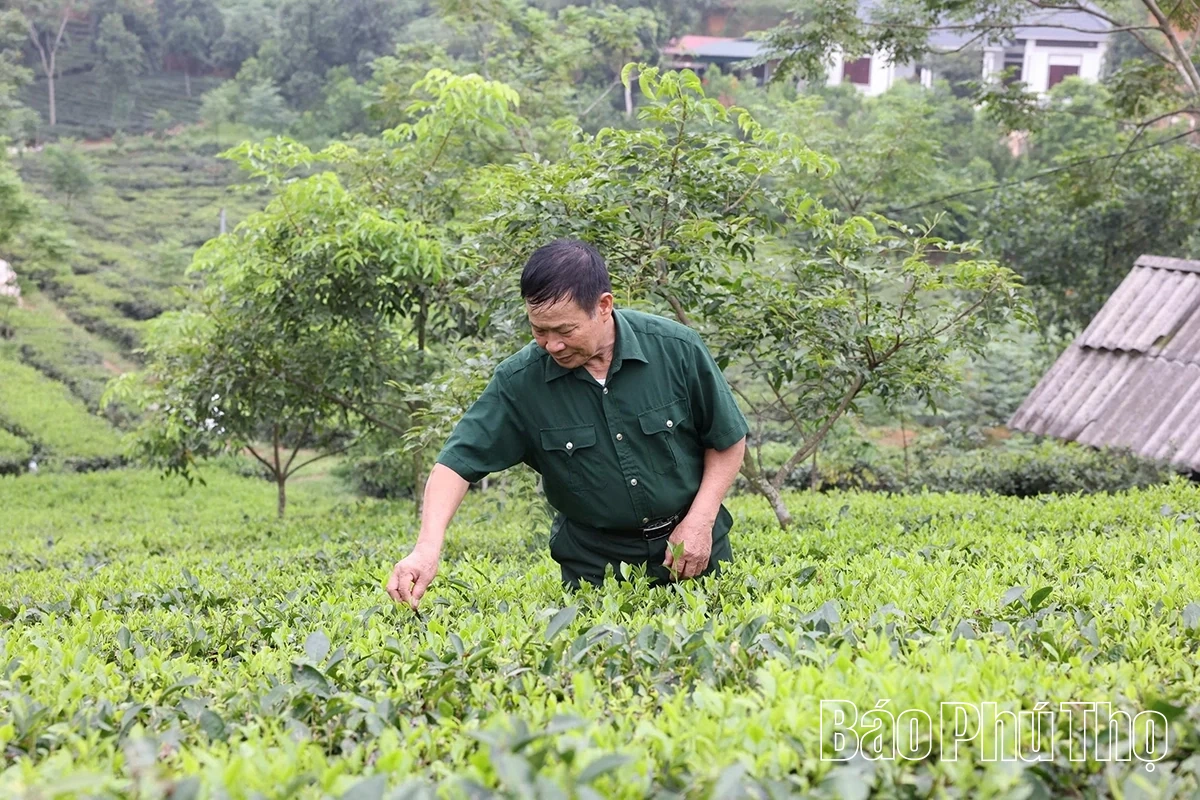Hội Cựu chiến binh tỉnh: Điểm tựa vững chắc, chăm lo đời sống hội viên