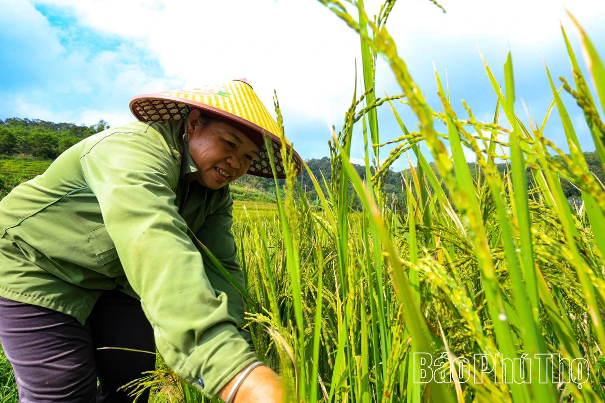 Thả hồn trên đỉnh Mường Vang