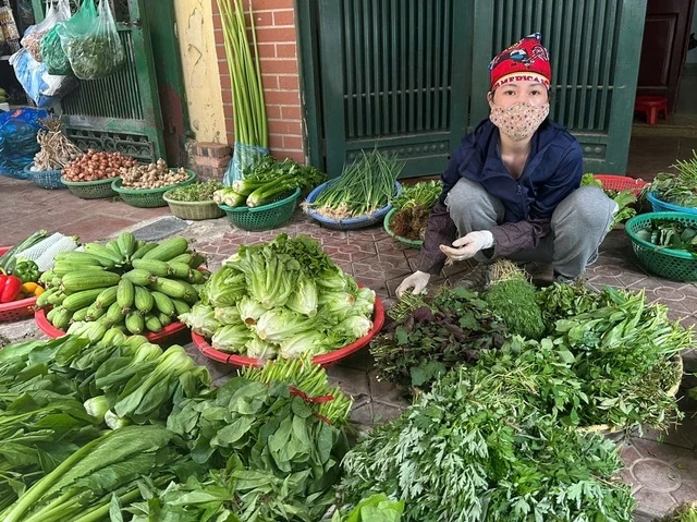 Ăn gì để vừa tiết kiệm vừa đủ vitamin khi rau xanh tăng giá mạnh?