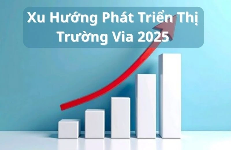 Thị trường Via Việt Nam Năm 2025: Xu hướng và cơ hội đầu tư