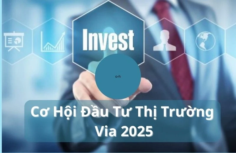 Thị trường Via Việt Nam Năm 2025: Xu hướng và cơ hội đầu tư