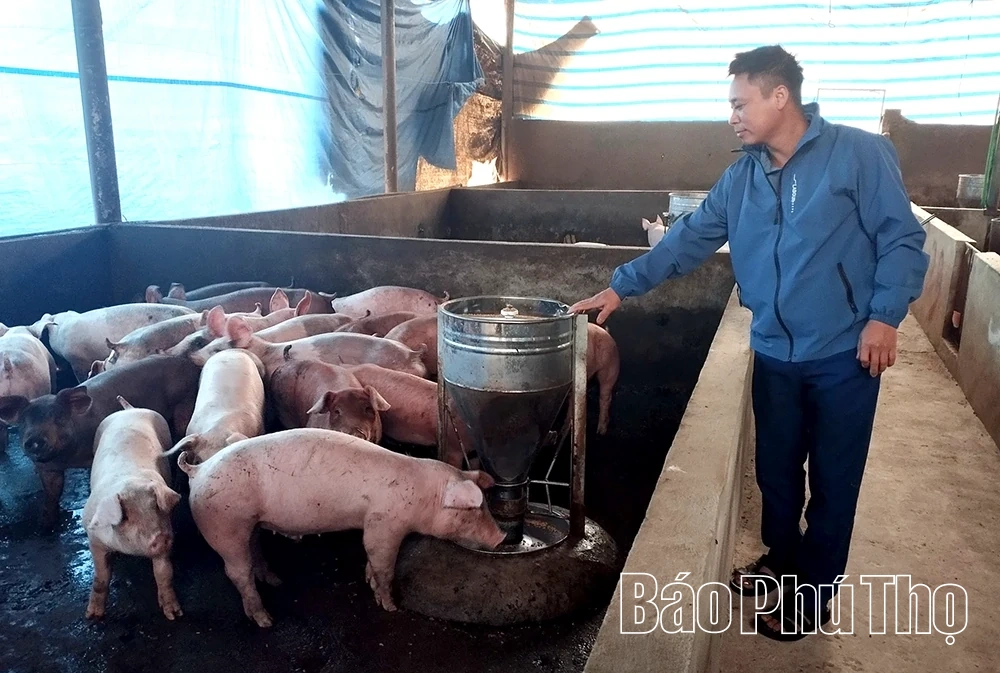 Siết chặt quản lý giết mổ gia súc, gia cầm- bảo vệ sức khỏe cộng đồng