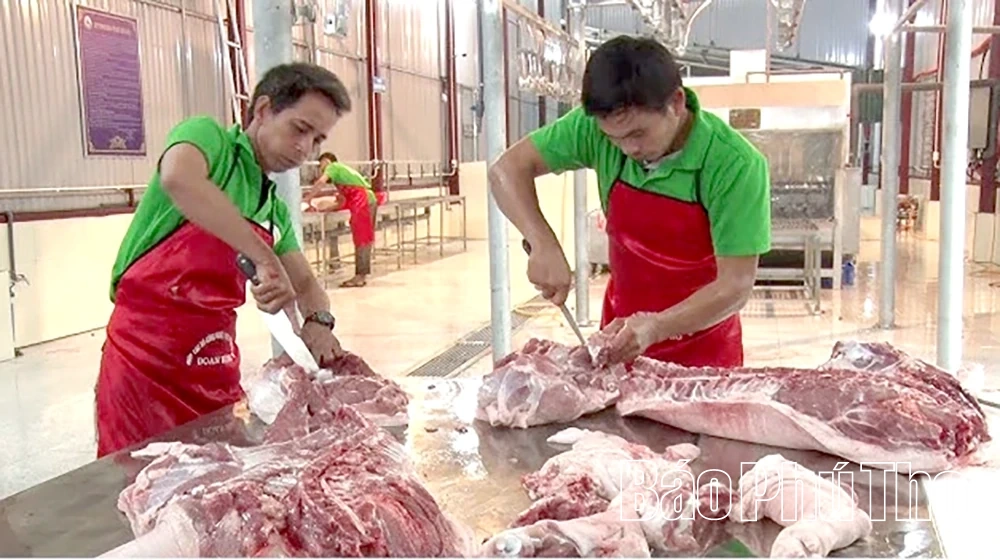 Siết chặt quản lý giết mổ gia súc, gia cầm- bảo vệ sức khỏe cộng đồng