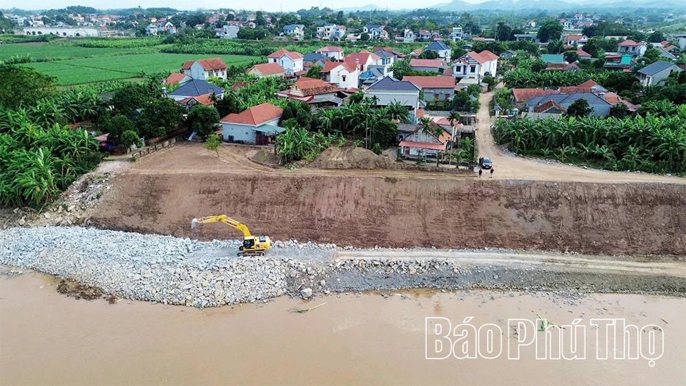 Cấp bách “cứu” các điểm sạt lở bờ, vở sông Hồng