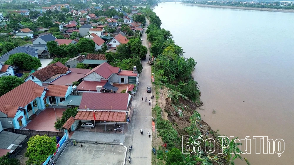 Cấp bách “cứu” các điểm sạt lở bờ, vở sông Hồng