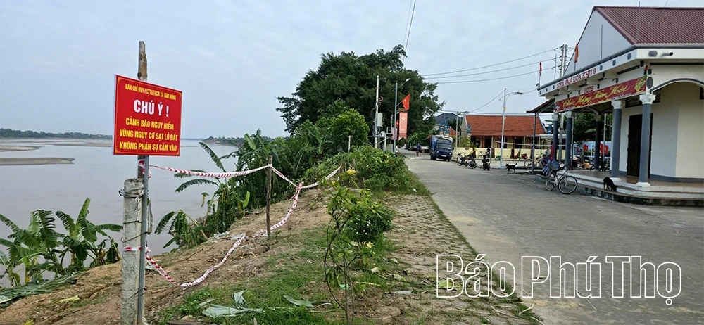 Cấp bách “cứu” các điểm sạt lở bờ, vở sông Hồng