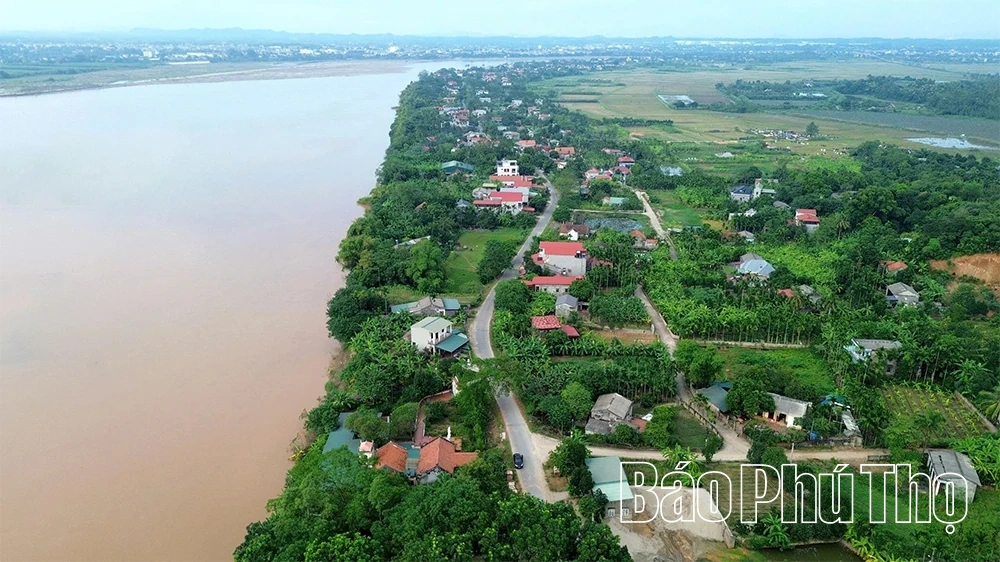 Cấp bách “cứu” các điểm sạt lở bờ, vở sông Hồng