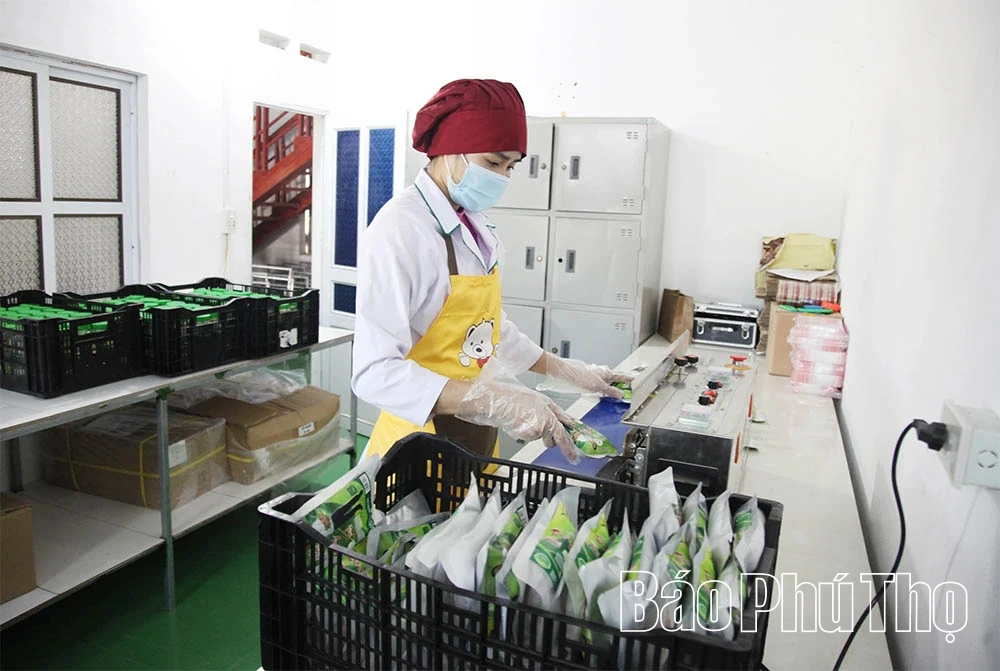 Xây dựng thương hiệu sản phẩm OCOP thịt chua Friend Foods