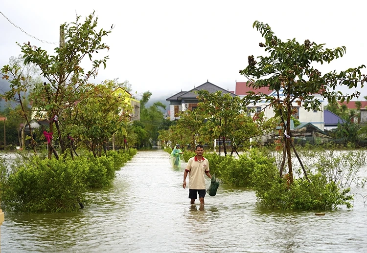 Thời tiết ngày 1/11: Mưa lớn diện rộng ở Trung Bộ, Bắc Bộ trời lạnh và có nơi rét