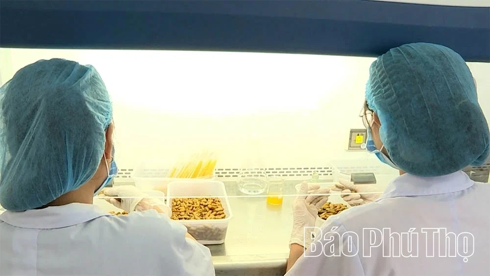 Vietnamese agricultural products reaching out to the world