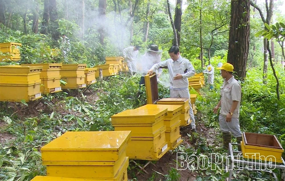 Vietnamese agricultural products reaching out to the world