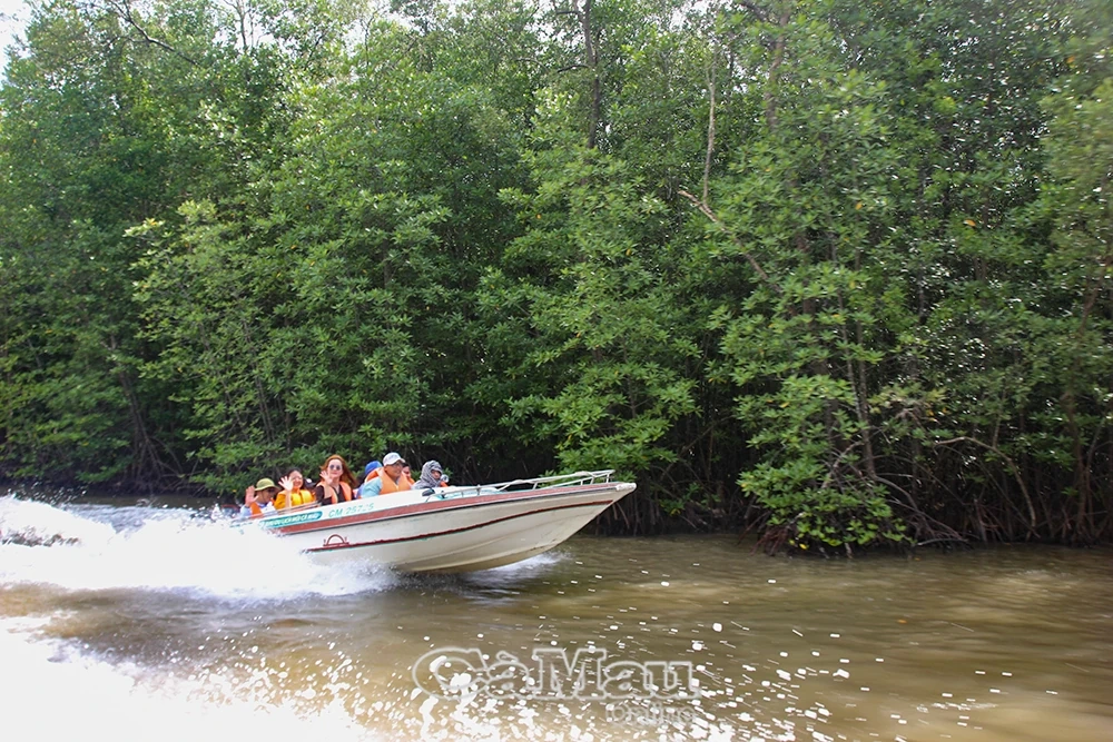 Du lịch Cà Mau tăng sức hút
