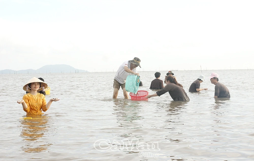 Du lịch Cà Mau tăng sức hút