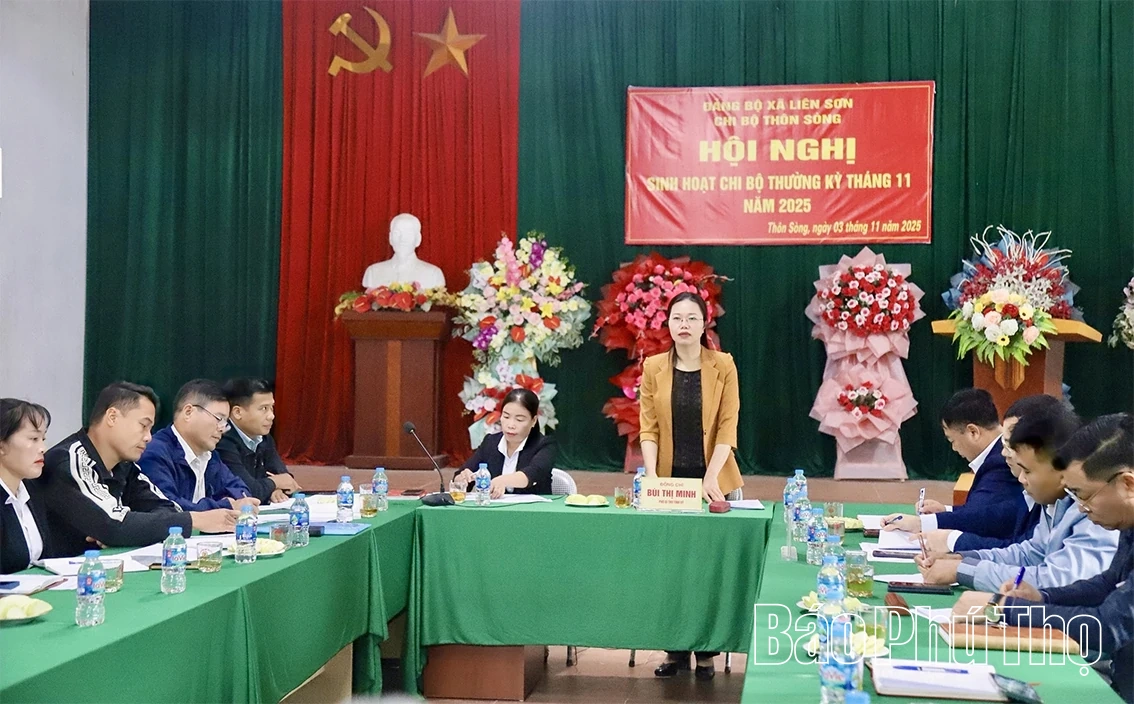 Phó Bí thư Tỉnh uỷ Bùi Thị Minh dự sinh hoạt chi bộ tại xã Liên Sơn