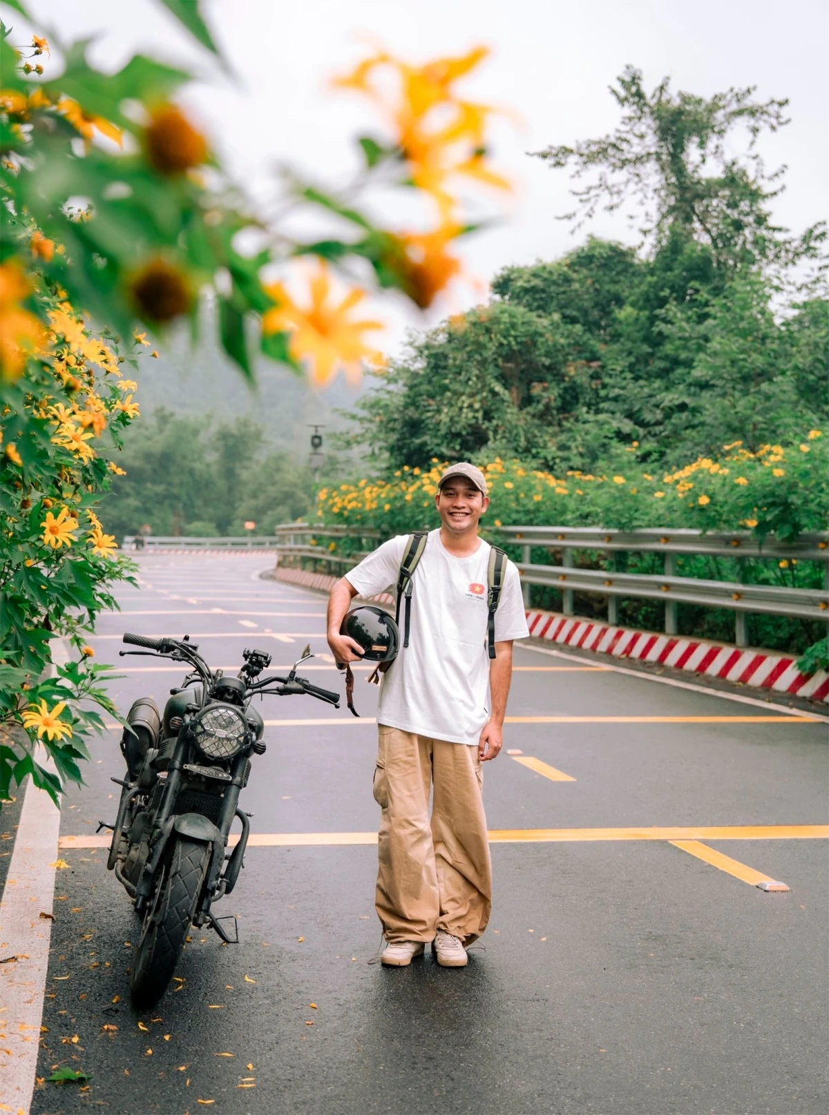 Con đường hoa dã quỳ nở vàng rực ở Vườn quốc gia Ba Vì