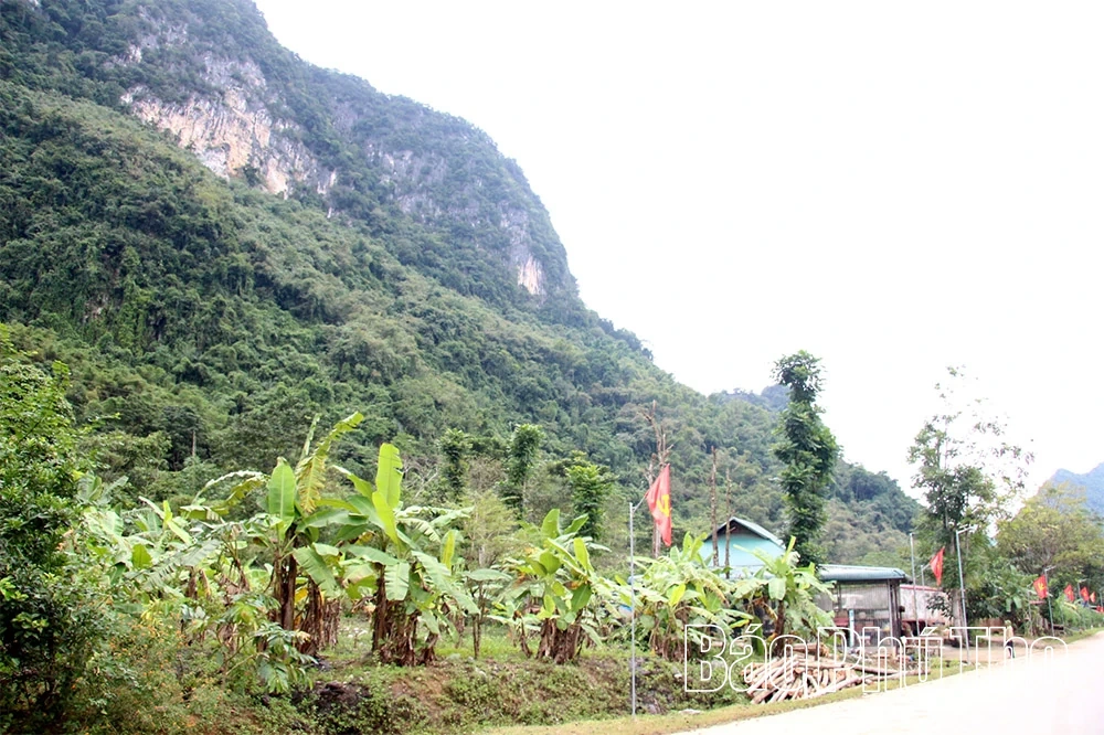 Chuyện về người bảo vệ đàn khỉ hoang dã nơi vùng lòng hồ Hòa Bình